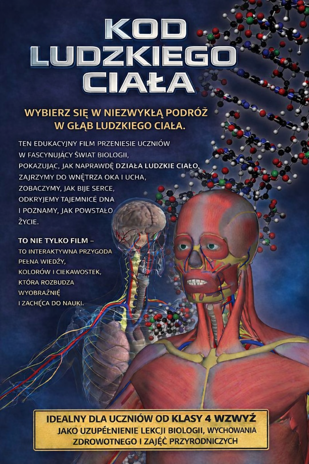 Kod ludzkiego ciala oferta